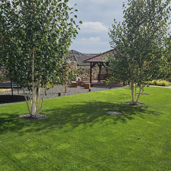 rekonstrukcia zahrad