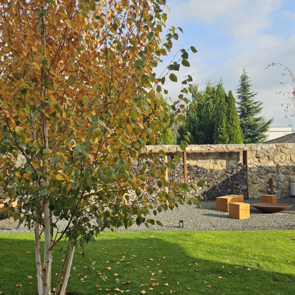 rekonstrukcia zahrad (3)