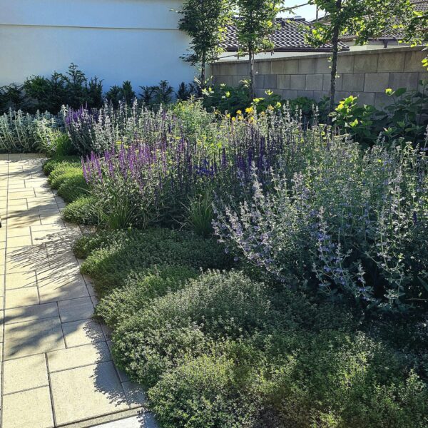 trvalkovy zahon vedla domu