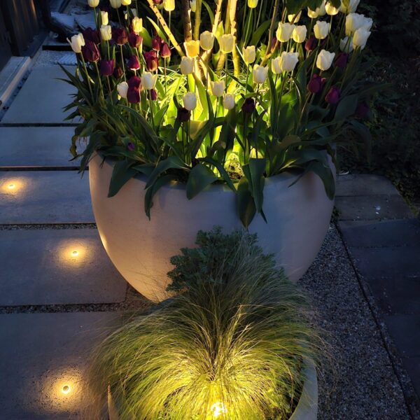 Osvetlenie v kvetináči