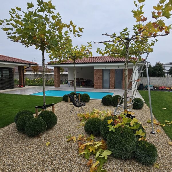 strihanie dazdnikovych platanov